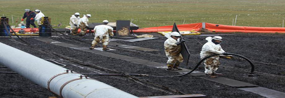 Workers-clean-up-an-oilsp-006